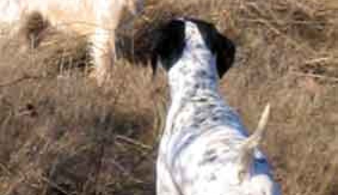 Séjour de chasse Domaine du Périgal