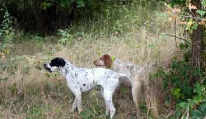 Séjour de chasse Domaine du Périgal