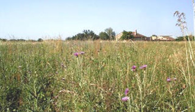 Séjour de chasse Domaine du Périgal