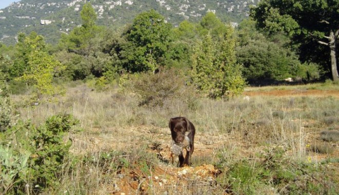 Séjour de chasse Domaine Solitaire