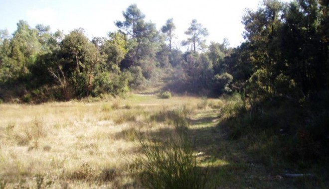 Séjour de chasse Domaine Solitaire