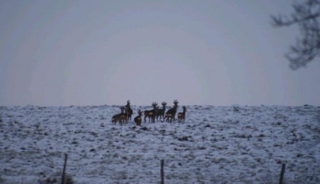 Séjour de chasse Domaine de la Petite Pologne