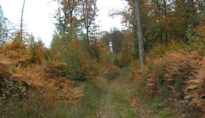 Séjour de chasse Domaine de la Petite Pologne