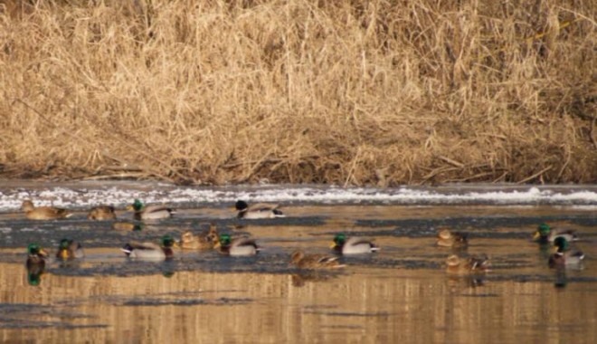 Séjour de chasse Domaine de la Petite Pologne