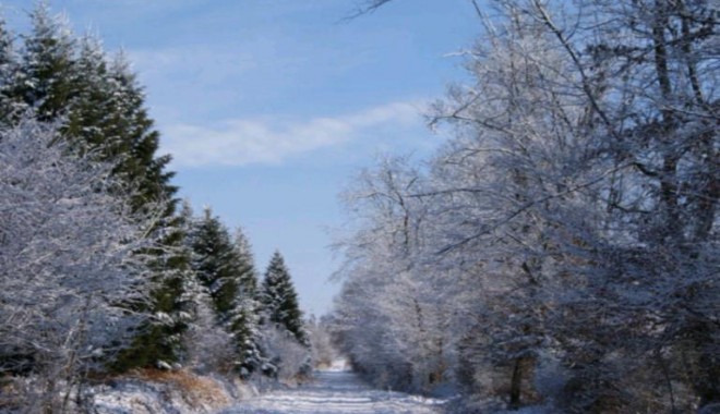 Séjour de chasse Domaine de la Petite Pologne