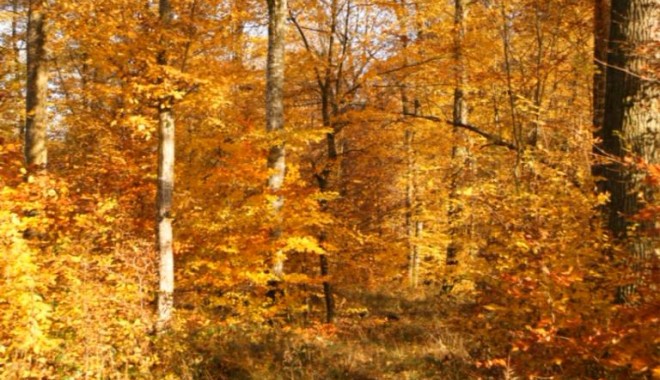 Séjour de chasse Domaine de la Petite Pologne