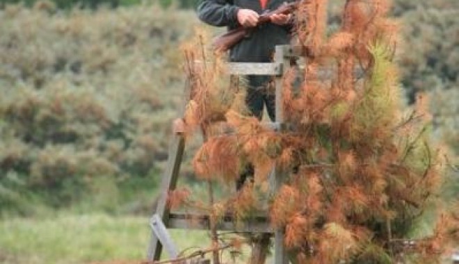 Séjour de chasse Domaine du Marquenterre