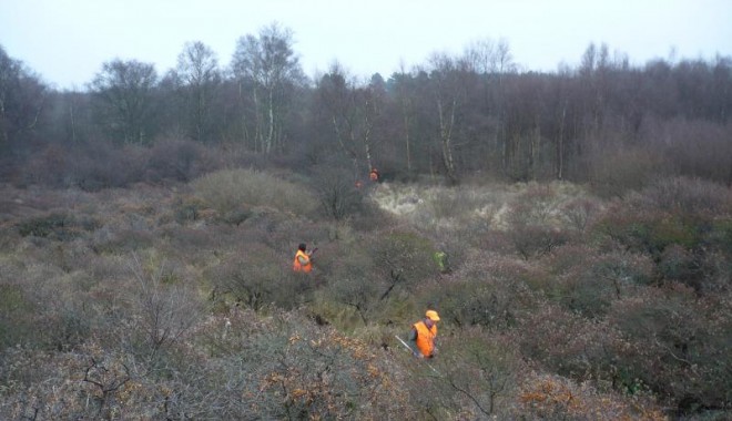 Séjour de chasse Domaine du Marquenterre