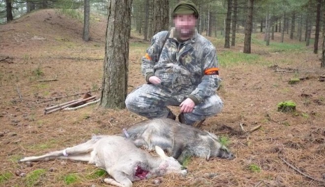 Séjour de chasse Domaine du Marquenterre