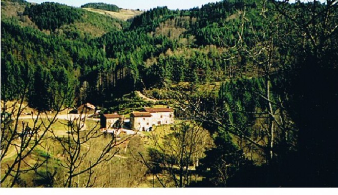 Séjour de chasse Domaine du Raboulet