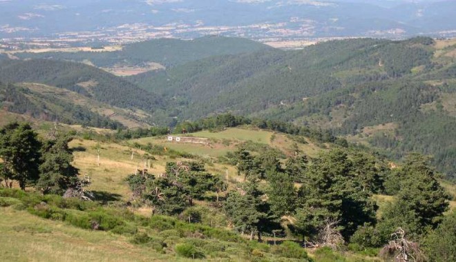 Séjour de chasse Domaine du Raboulet