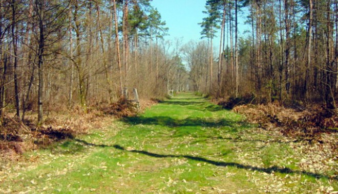 Séjour de chasse Domaine de la Théau