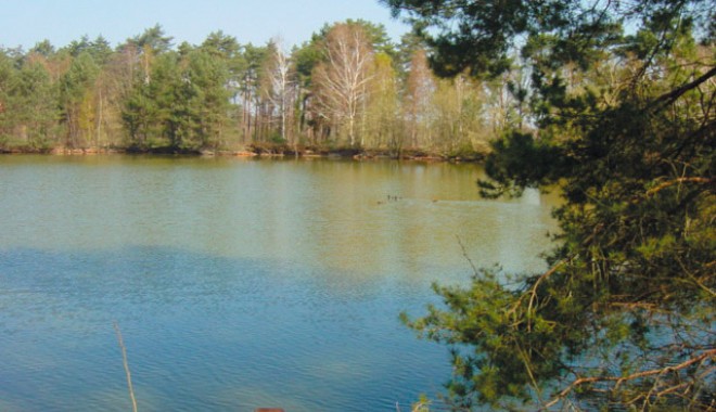 Séjour de chasse Domaine de la Théau