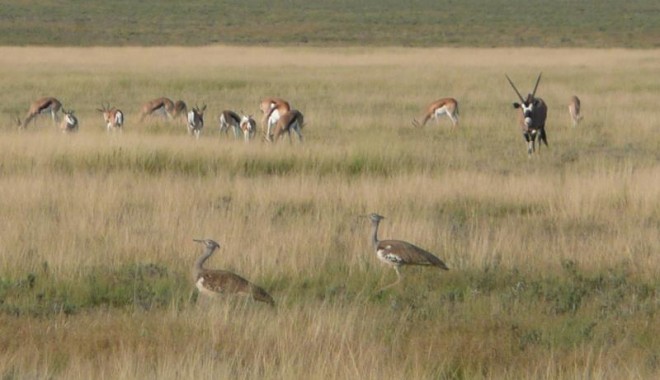 Séjour de chasse Campbell Safari