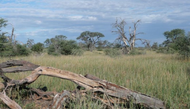 Séjour de chasse Campbell Safari