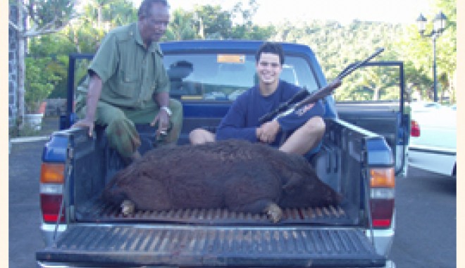 Séjour de chasse Domaine de Saint Denis