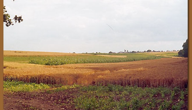 Séjour de chasse Domaine du Grand Villegomblain