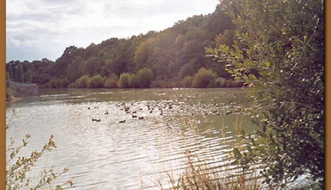 Séjour de chasse Domaine du Grand Villegomblain