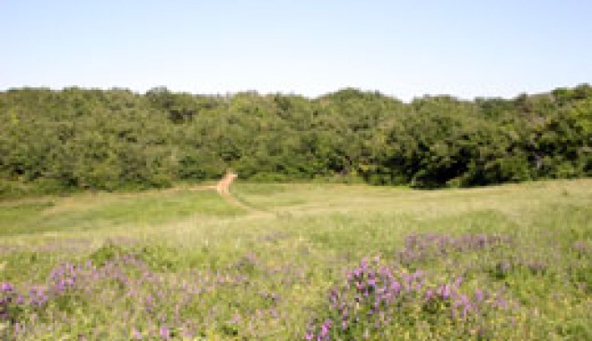 Séjour de chasse Domaine de Fontcouverte