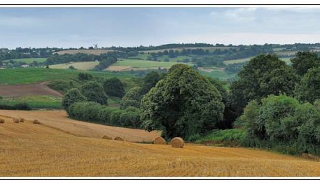 Séjour de chasse Domaine des Enfreins