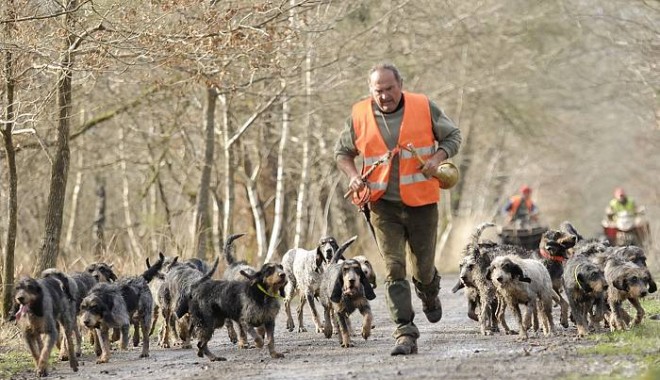 Séjour de chasse Chasse de Boissière