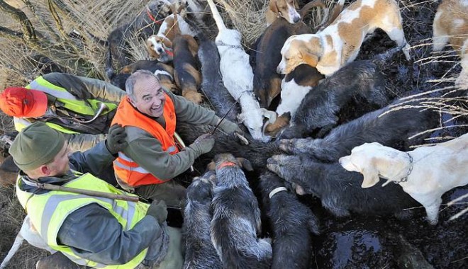 Séjour de chasse Chasse de Boissière