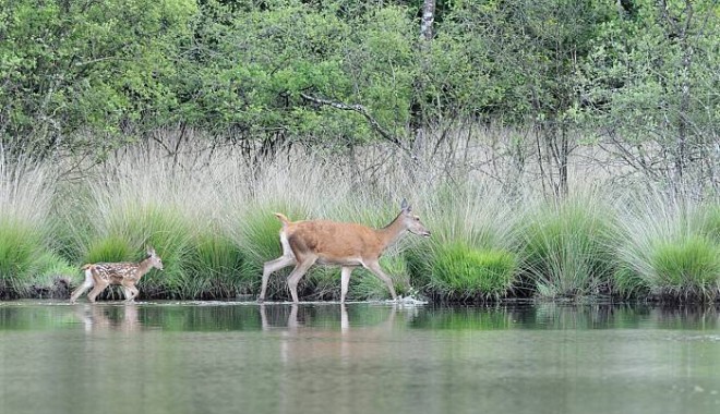 Séjour de chasse Chasse de Boissière