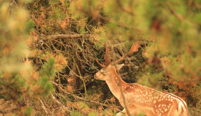 Séjour de chasse Les Rocs Blancs