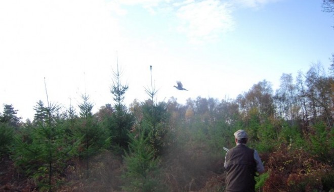 Séjour de chasse Domaine de la Béhotière