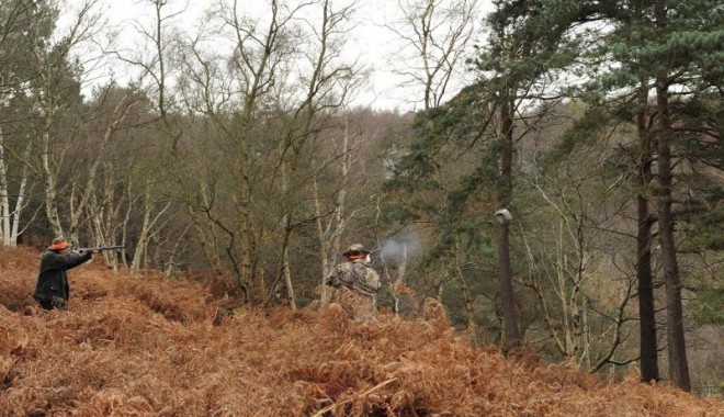 Séjour de chasse Domaine de la Béhotière