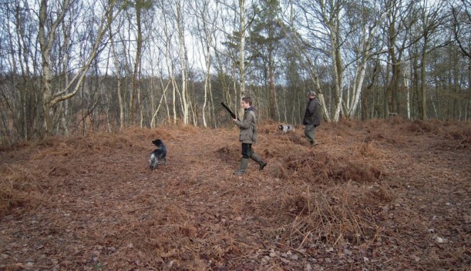 Séjour de chasse Domaine de la Béhotière