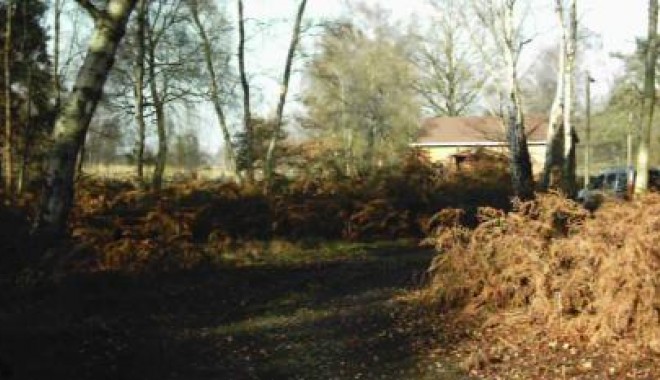 Séjour de chasse Domaine de la Béhotière