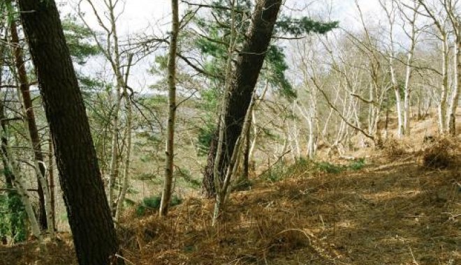 Séjour de chasse Domaine de la Béhotière