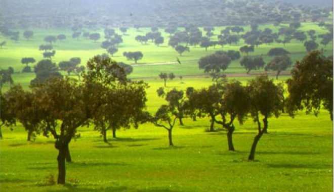 Séjour de chasse Sierra Del Oro - Espagne