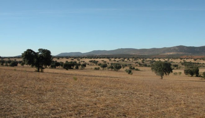 Séjour de chasse Sierra Del Oro - Espagne