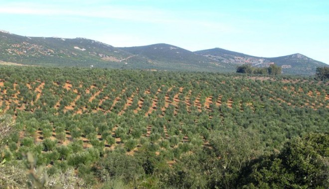 Séjour de chasse Sierra Del Oro - Espagne