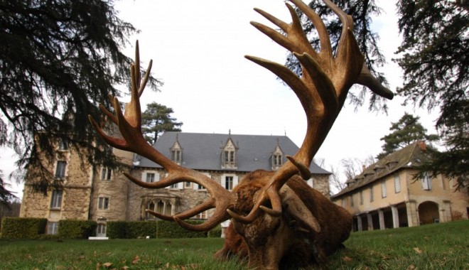 Séjour de chasse France Safaris