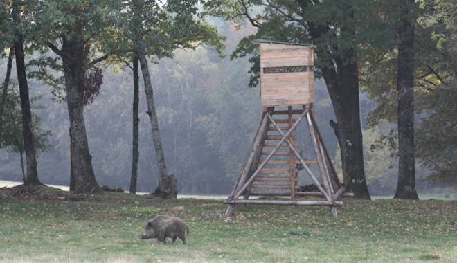 Séjour de chasse France Safaris