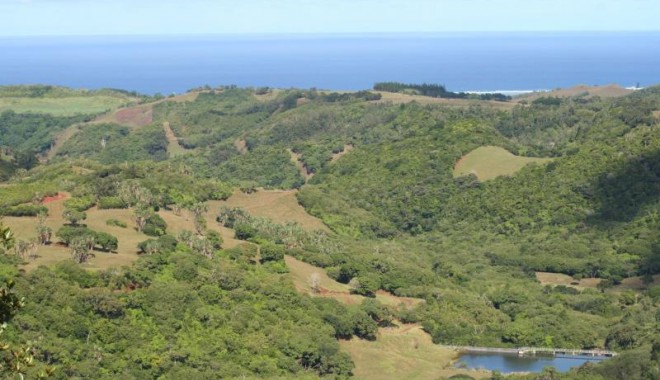 Séjour de chasse Le Chasseur Mauricien