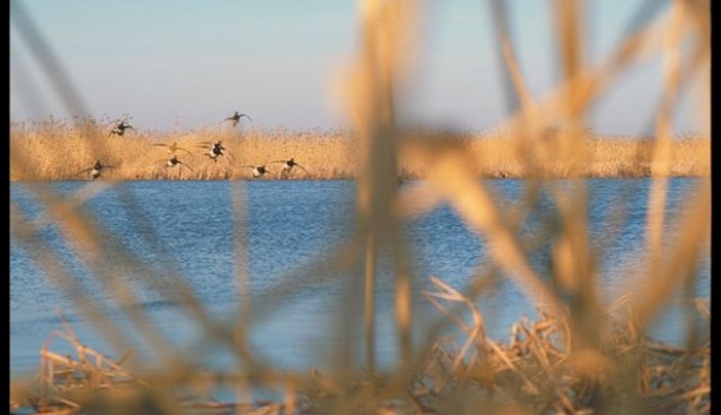 Séjour de chasse DHD-LAÏKA Delta de la Volga