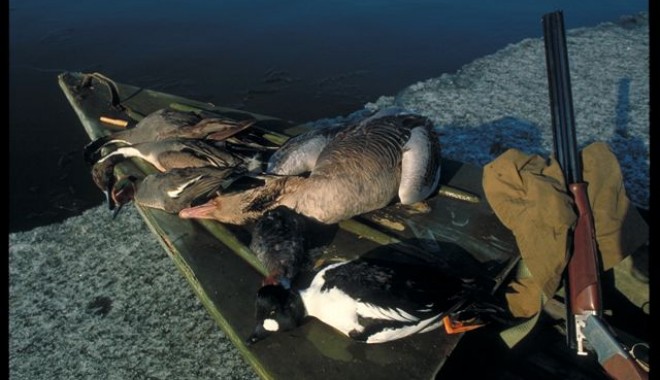 Séjour de chasse DHD-LAÏKA Delta de la Volga