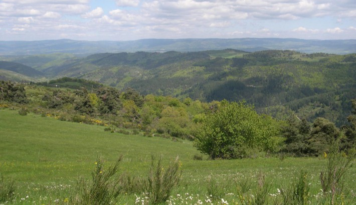 Propriété de chasse Propriété de Chasse à vendre