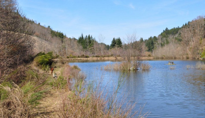 Propriété de chasse Propriété de Chasse à vendre