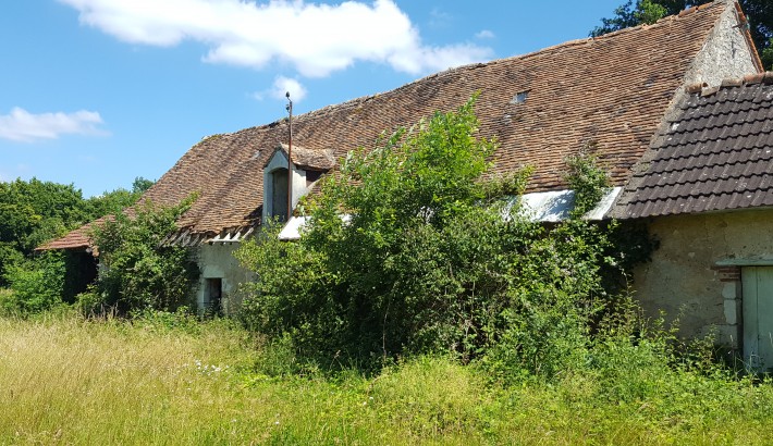 Propriété de chasse Territoire de chasse à vendre