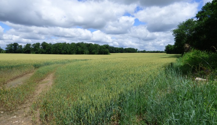 Propriété de chasse Territoire de chasse à vendre