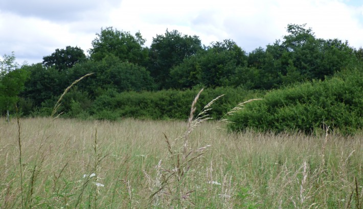 Propriété de chasse Territoire de chasse à vendre