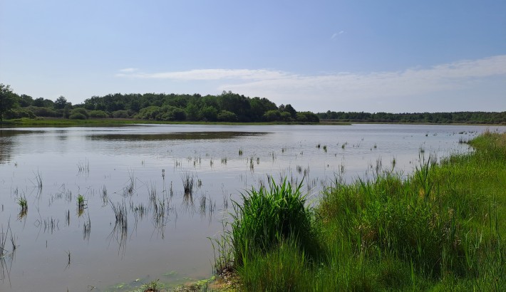 Propriété de chasse Exceptionnelle propriété en Sologne des Etangs
