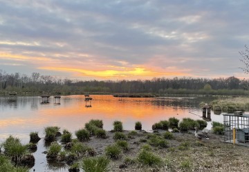 Propriété de chasse Propriété de chasse à vendre en Sologne