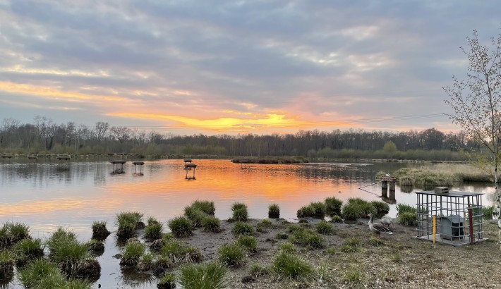 Propriété de chasse Propriété de chasse à vendre en Sologne
