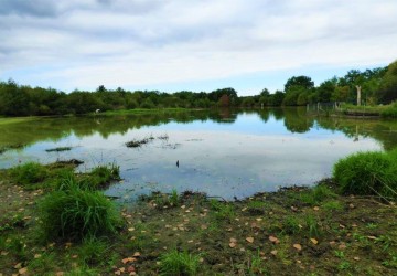 Propriété de chasse Propriété de chasse en bord de Loire